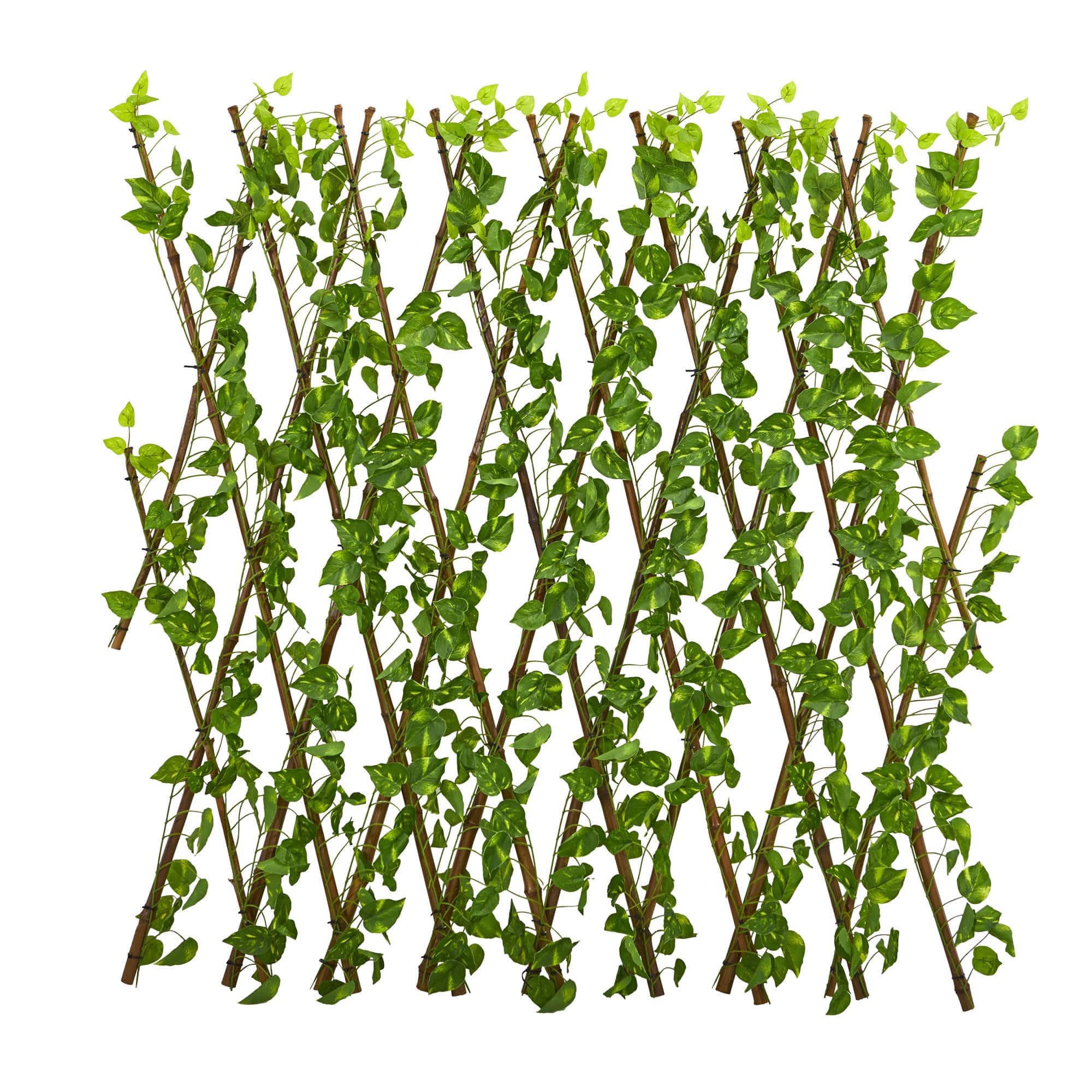 4ft. Pothos Expandable Fence